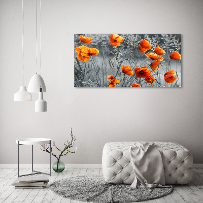 Bild auf leinwand Feldmohn