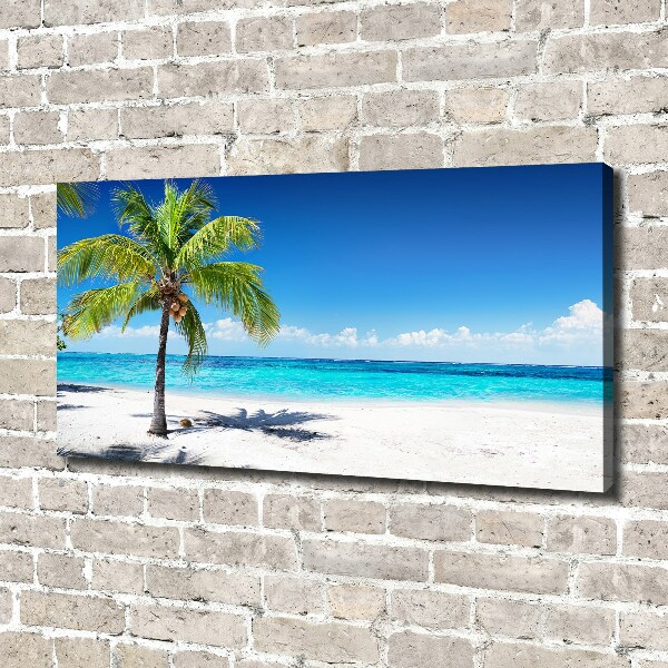 Bild auf leinwand Tropischer Strand