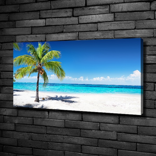 Bild auf leinwand Tropischer Strand