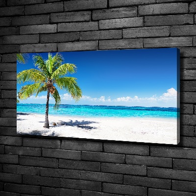 Bild auf leinwand Tropischer Strand