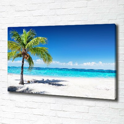 Bild auf leinwand Tropischer Strand