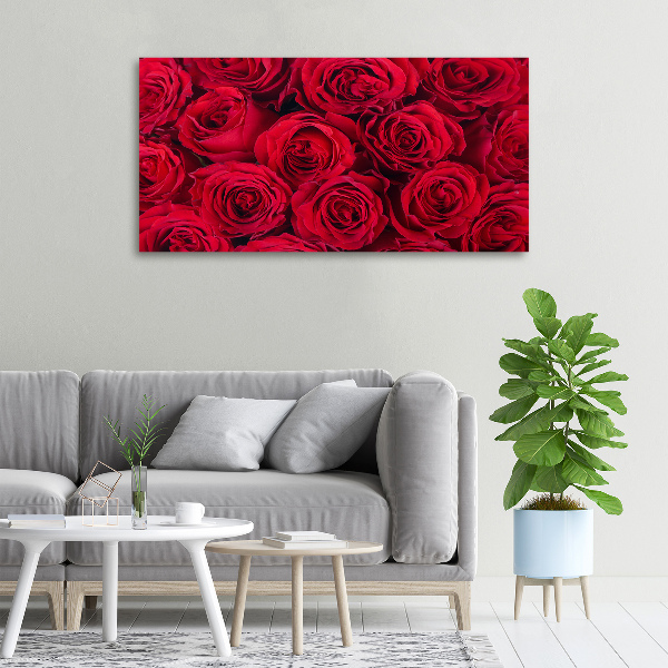 Bild auf leinwand Rosen