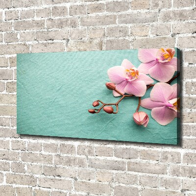 Wandbild Orchidee
