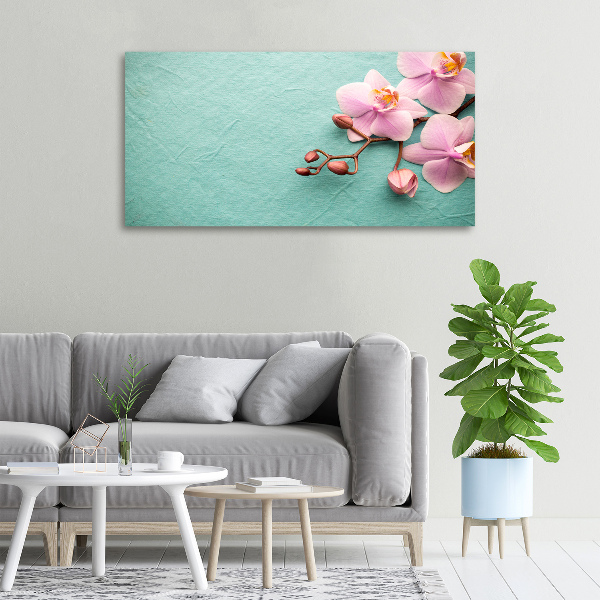 Wandbild Orchidee