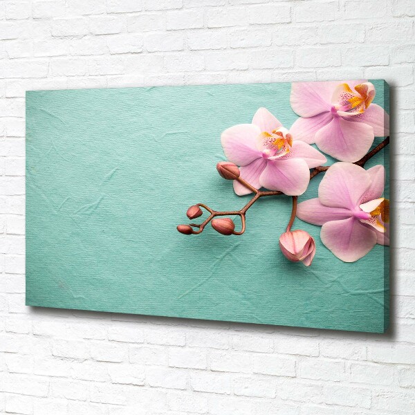 Wandbild Orchidee