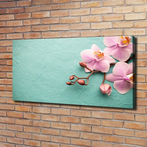 Wandbild Orchidee