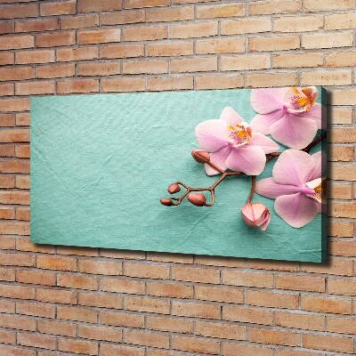 Wandbild Orchidee