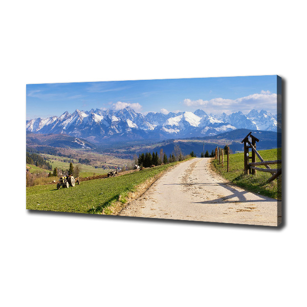 Fotobild Panorama der Tatra-Berge