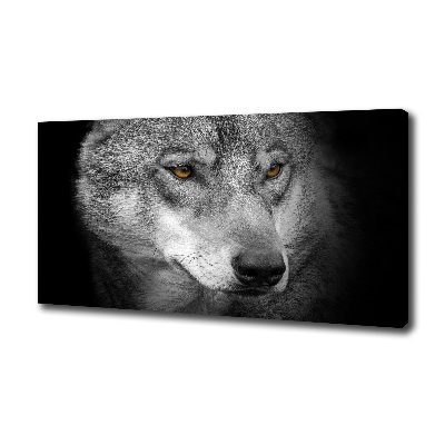Fotobild Wolf