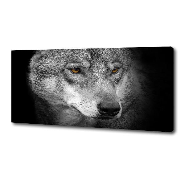 Fotobild Wolf