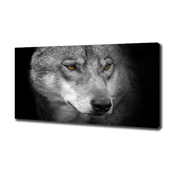 Fotobild Wolf