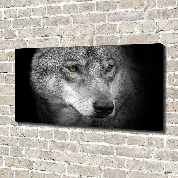 Fotobild Wolf