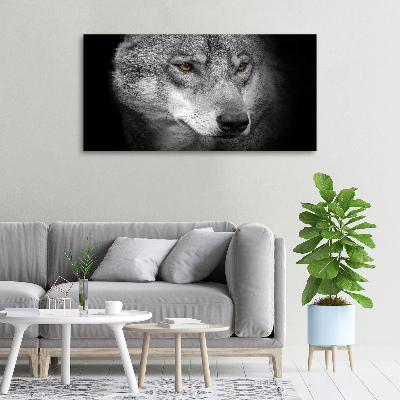 Fotobild Wolf