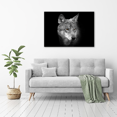 Fotobild Wolf