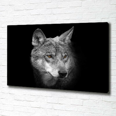 Fotobild Wolf