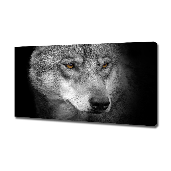 Fotobild Wolf