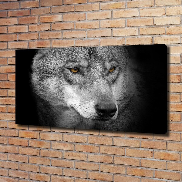Fotobild Wolf