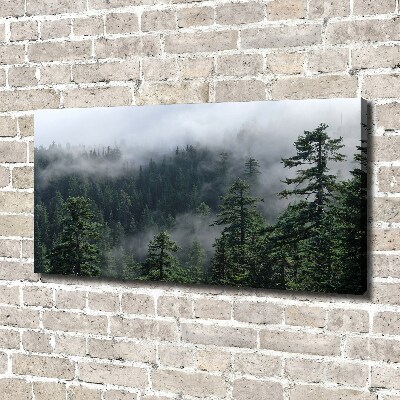 Bild auf leinwand Waldnebel