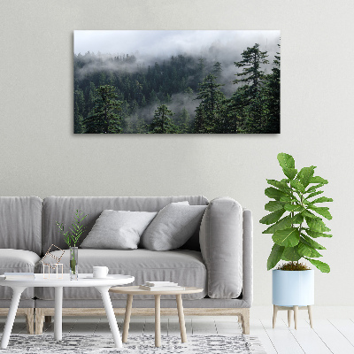 Bild auf leinwand Waldnebel