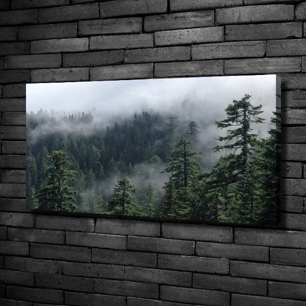 Bild auf leinwand Waldnebel