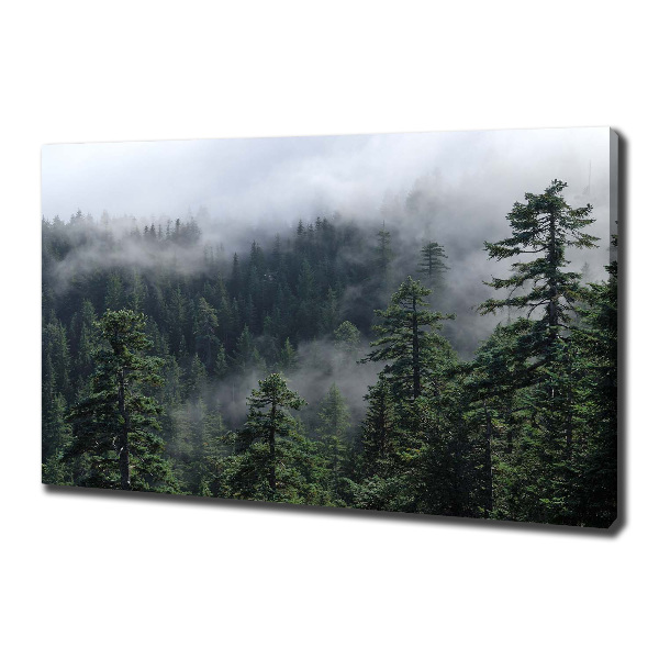 Bild auf leinwand Waldnebel