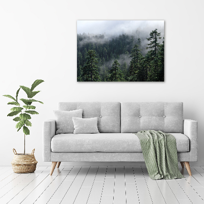 Bild auf leinwand Waldnebel