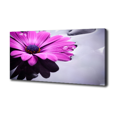 Bild auf leinwand Gerbera