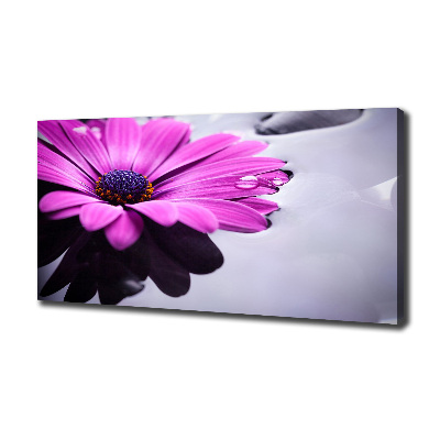 Bild auf leinwand Gerbera