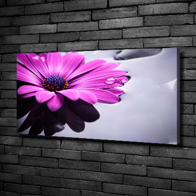 Bild auf leinwand Gerbera