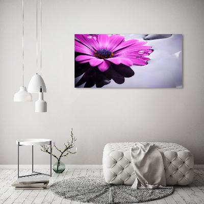Bild auf leinwand Gerbera