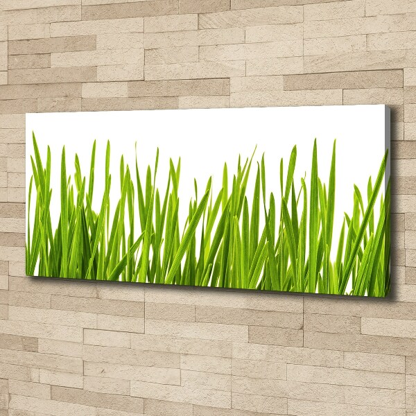 Wandbild Gras