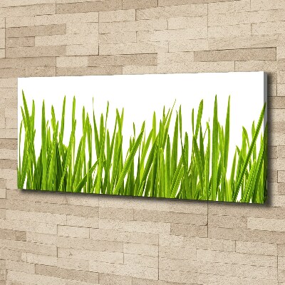 Wandbild Gras