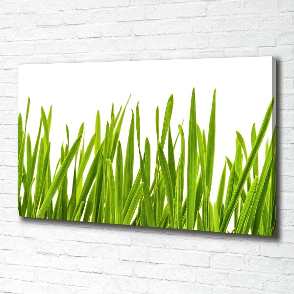 Wandbild Gras