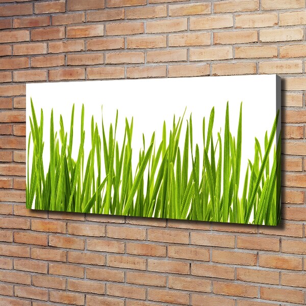 Wandbild Gras