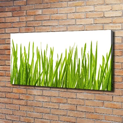 Wandbild Gras