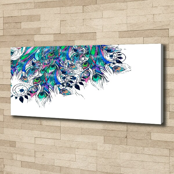 Wandbild Pfauenfedern