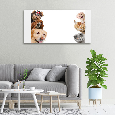 Bild auf leinwand Hunde und Katzen
