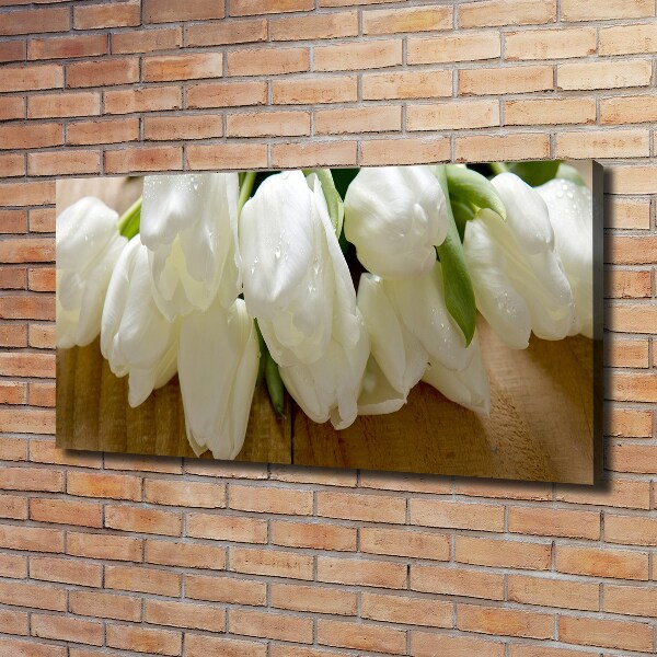 Bild auf leinwand Weiße Tulpen