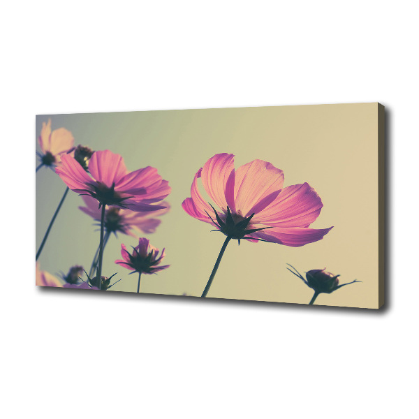 Wandbild Rosa Blüten