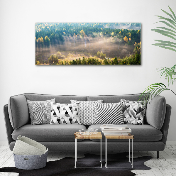 Bild auf leinwand Nebel im Wald