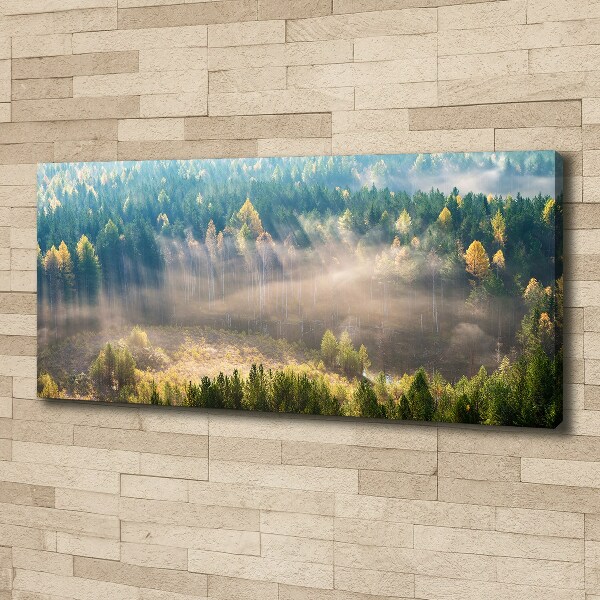 Bild auf leinwand Nebel im Wald