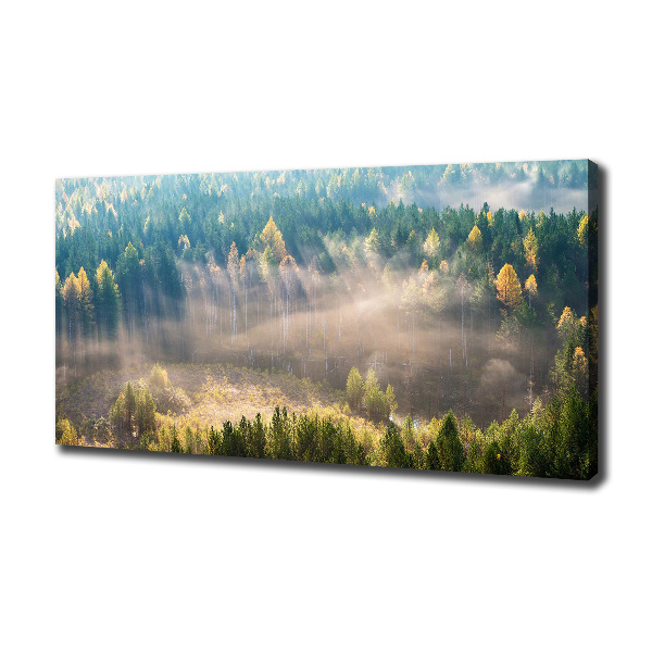Bild auf leinwand Nebel im Wald
