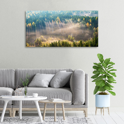 Bild auf leinwand Nebel im Wald