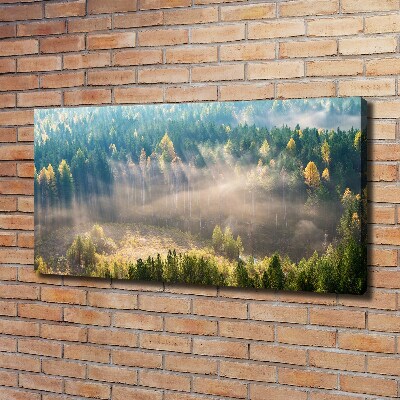 Bild auf leinwand Nebel im Wald