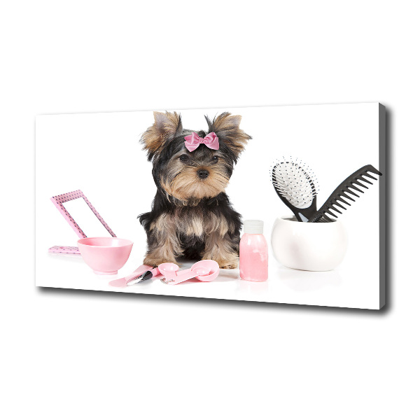 Fotobild Yorkshire Kosmetik