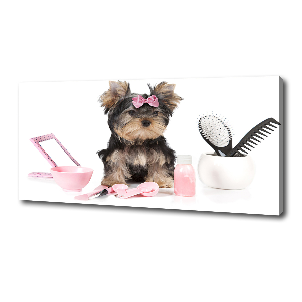 Fotobild Yorkshire Kosmetik