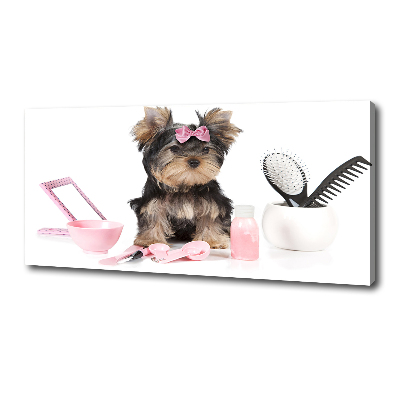 Fotobild Yorkshire Kosmetik