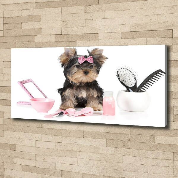 Fotobild Yorkshire Kosmetik