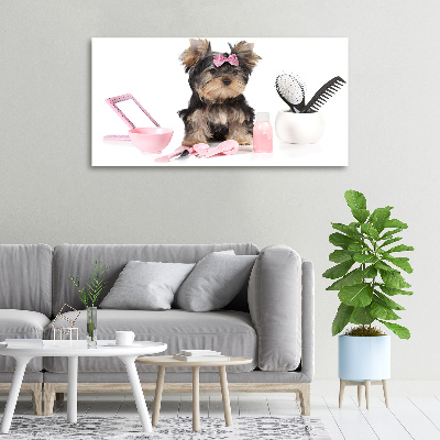 Fotobild Yorkshire Kosmetik