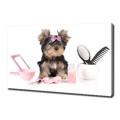 Fotobild Yorkshire Kosmetik